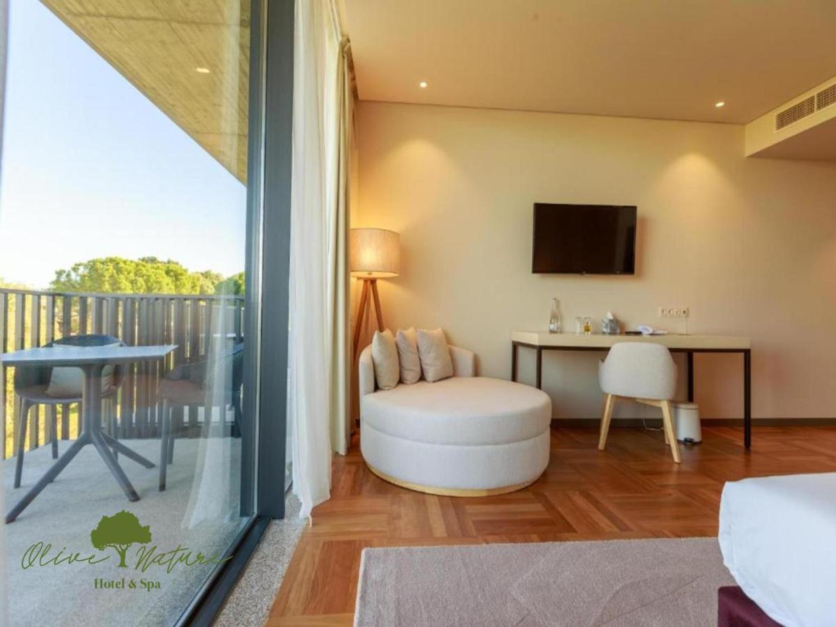 Uma televisão e/ou sistema de entretenimento em Olive Nature Hotel & SPA - Quinta Valle de Passos