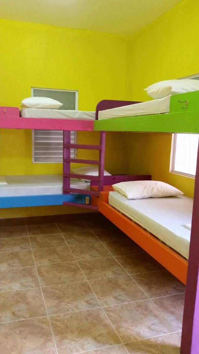 Travellers Palm Backpackers - Hizvo