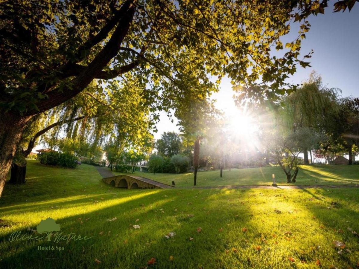 um parque com o sol brilhando através de uma árvore em Olive Nature Hotel & SPA - Quinta Valle de Passos em Valpaços mais 76 fotografias