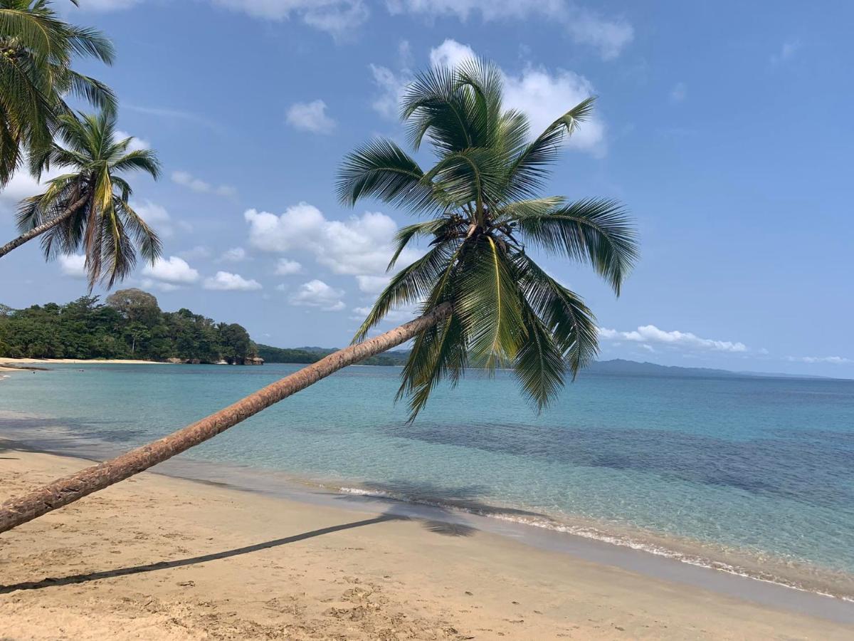 Beachfront Apartment Punta uva - Housity