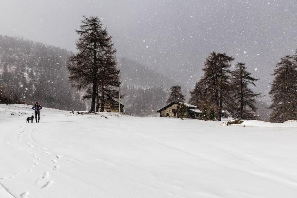 Centro di Aosta - Bilocale grazioso e silenzioso - Housity