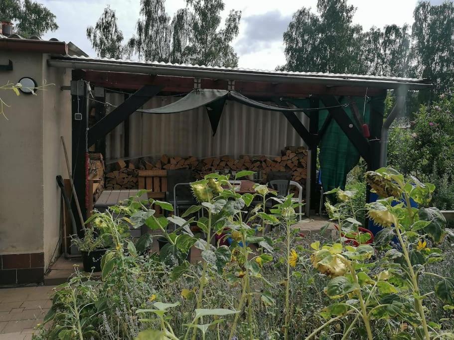 Ferienwohnung im Gartenhaus - Housity