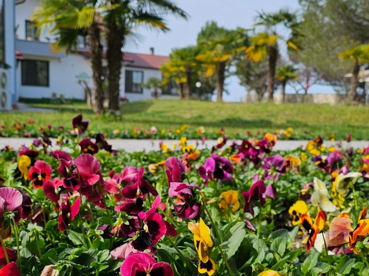 Green Park Divjakë - Housity