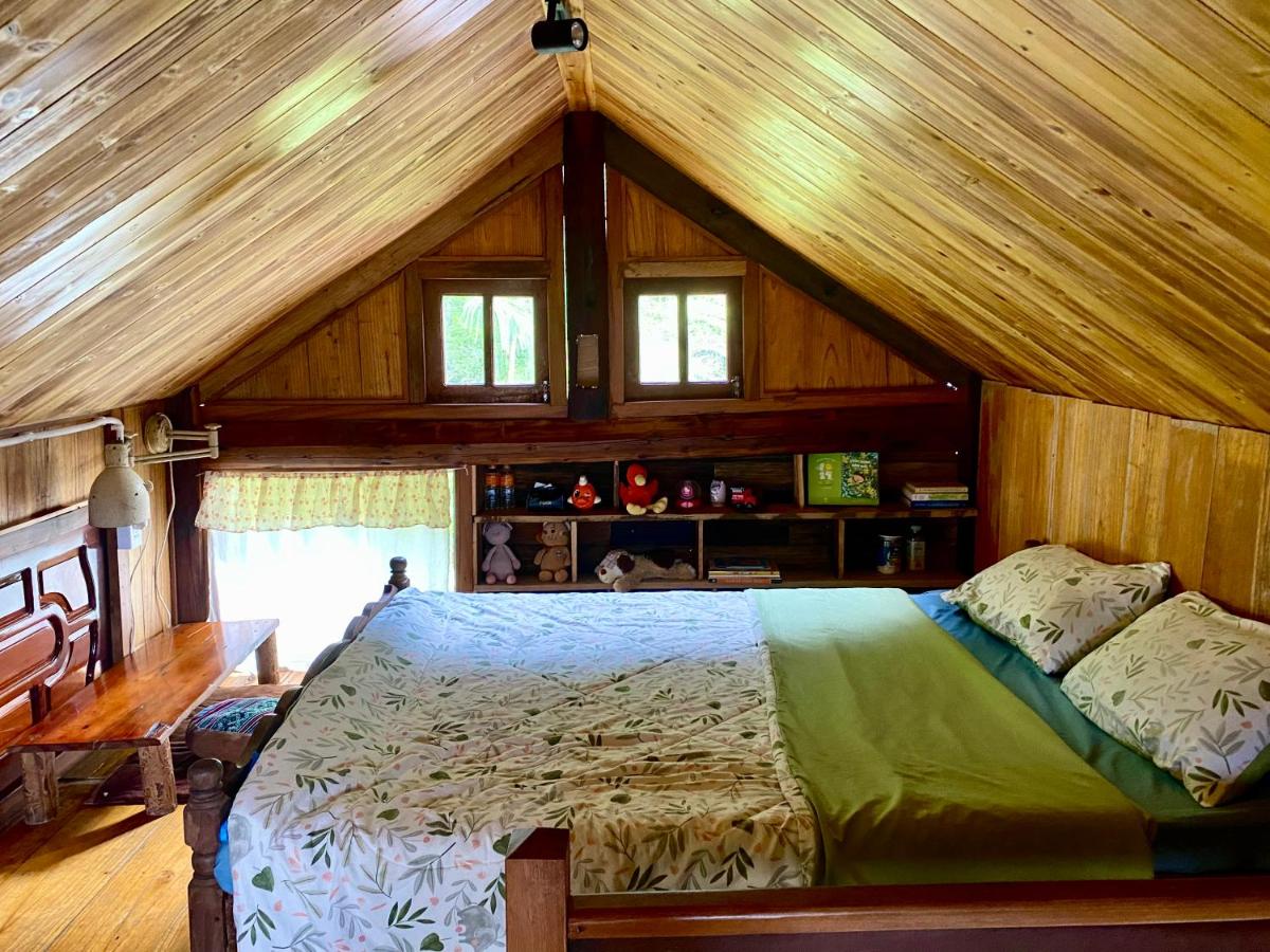 Chapi Dreamy Home - Hizvo