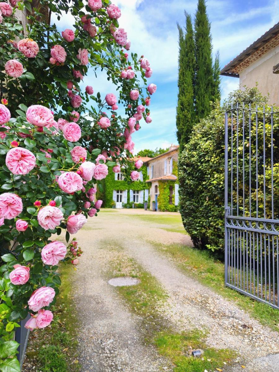 Hôtel Château de Didonne - Housity