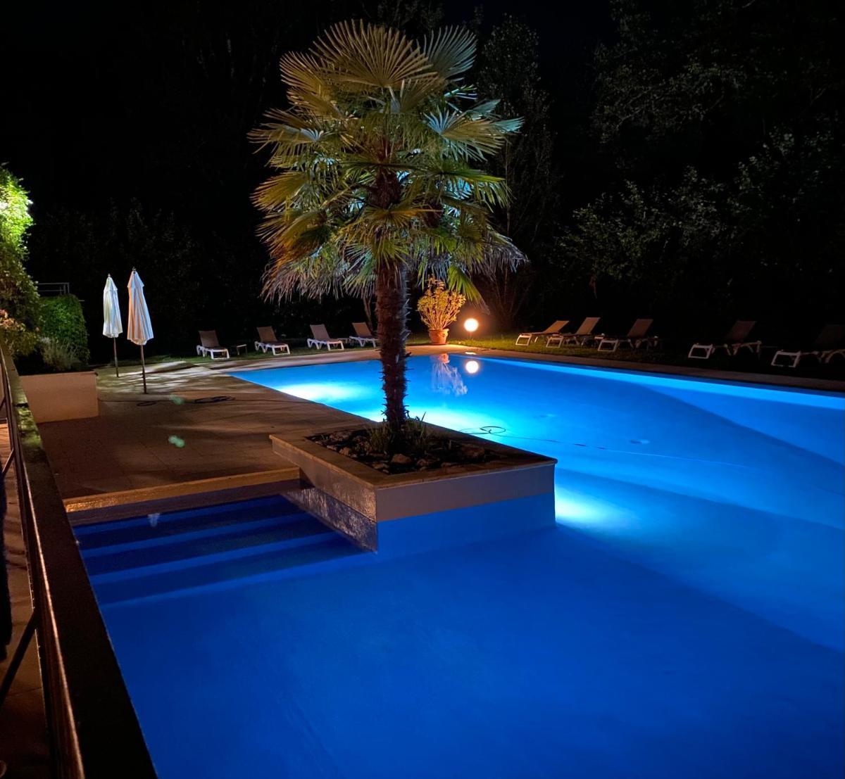 un palmier se trouvant à côté d'une piscine la nuit dans l'établissement Hôtel La Ségalière Spa Bar, à Cajarc