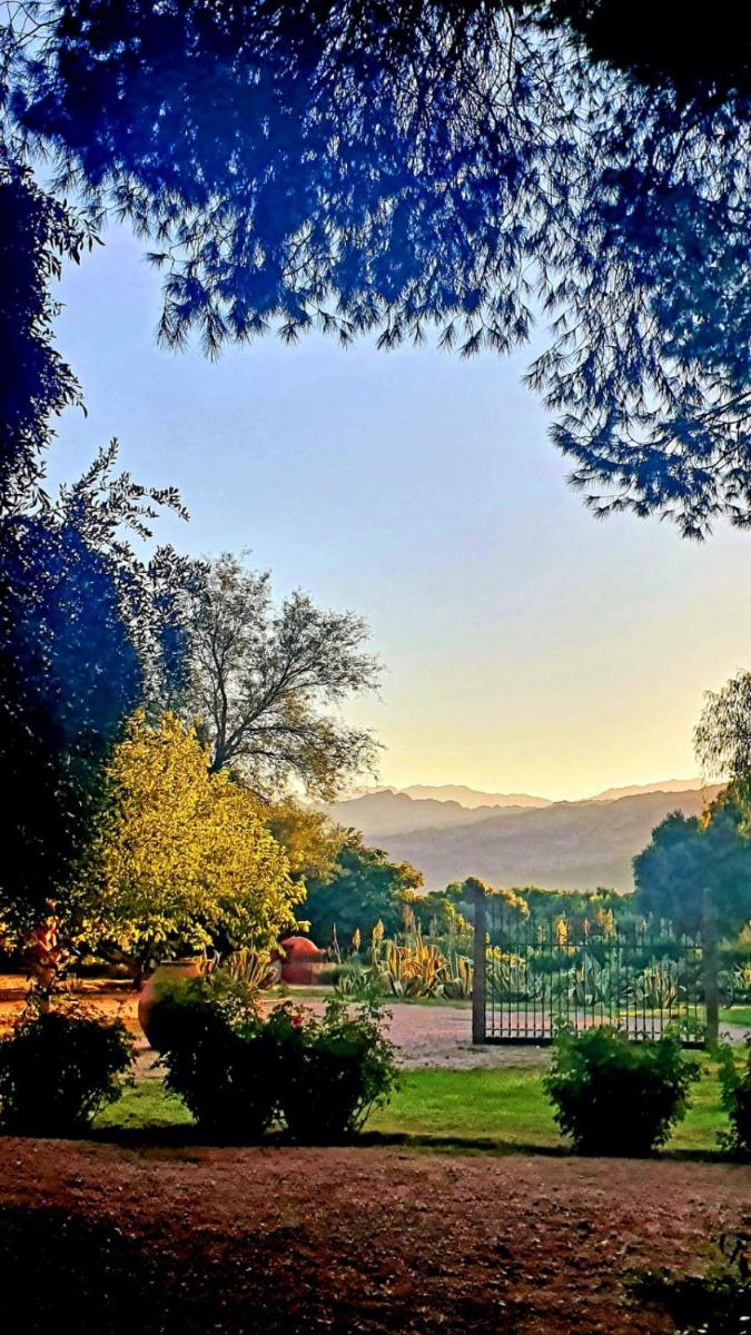 El Solar De Los Olivos - Housity