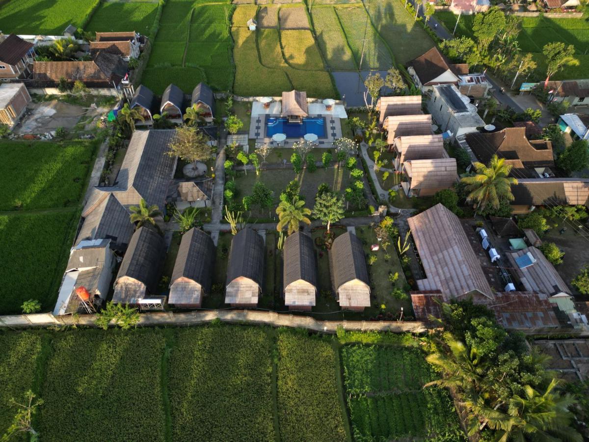 Green Orry Inn Tetebatu - Housity