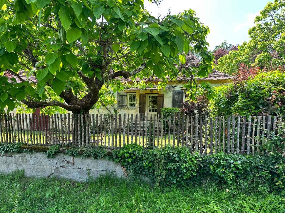 the Snug House - Housity
