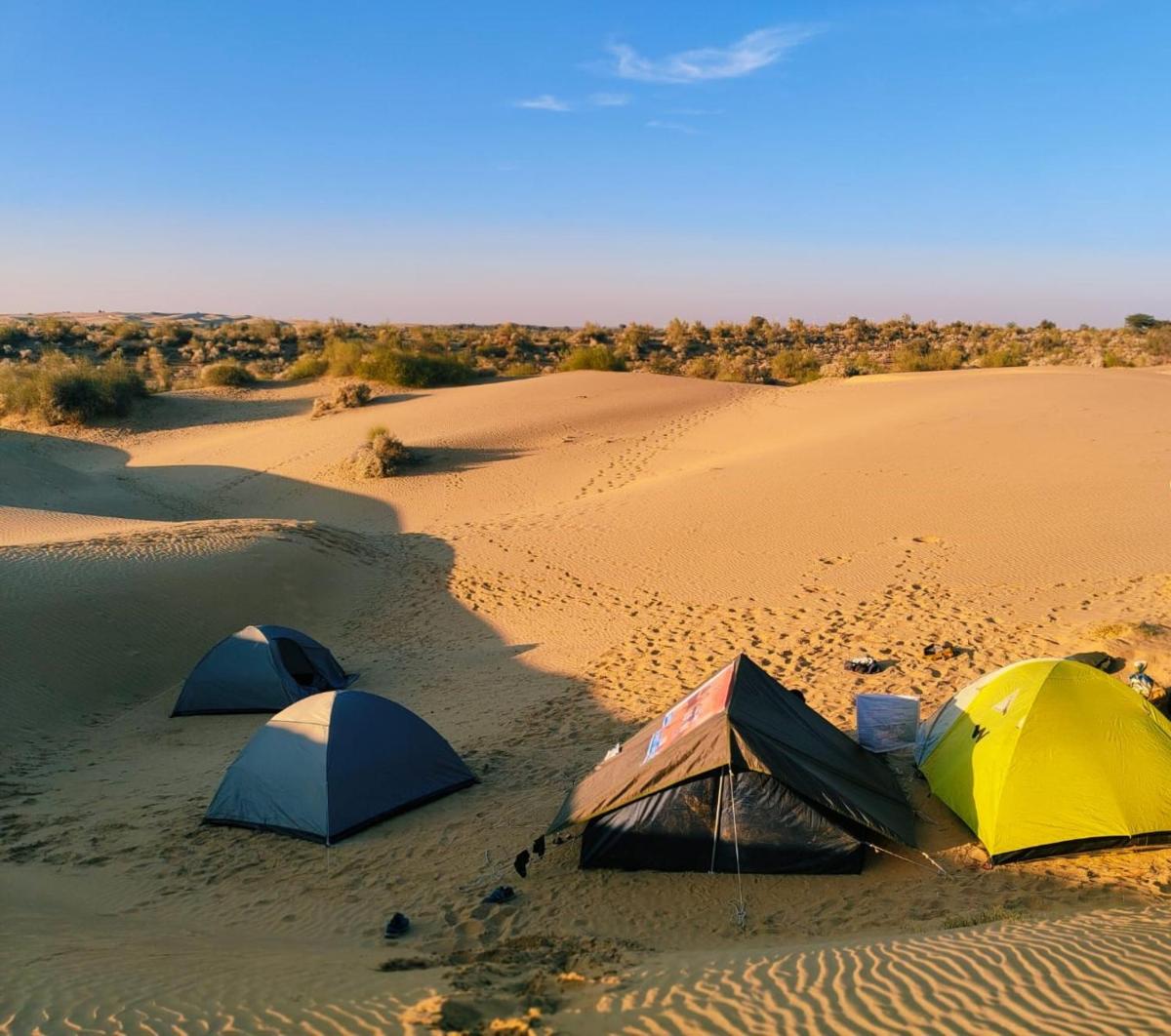 Living Desert Camp - Housity