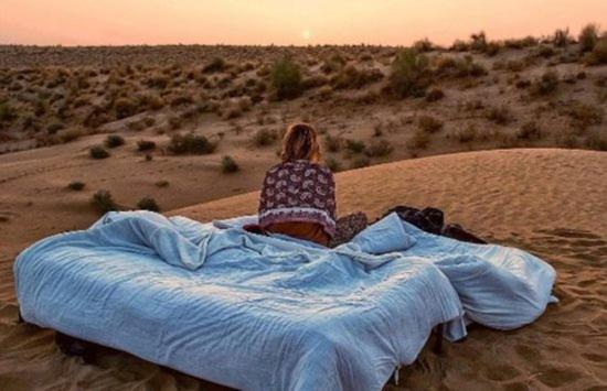 Living Desert Camp - Housity