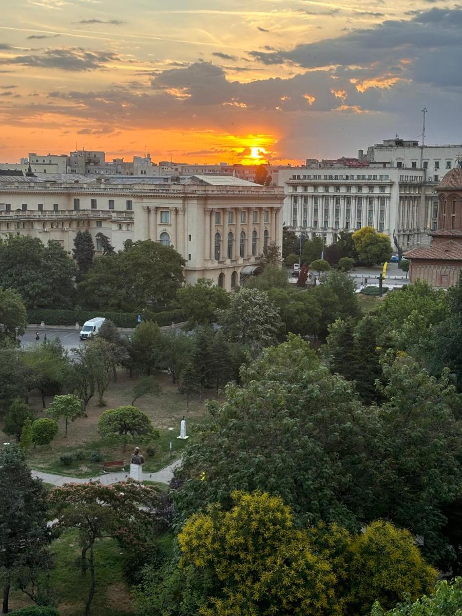Green Muse on Victoriei - Housity