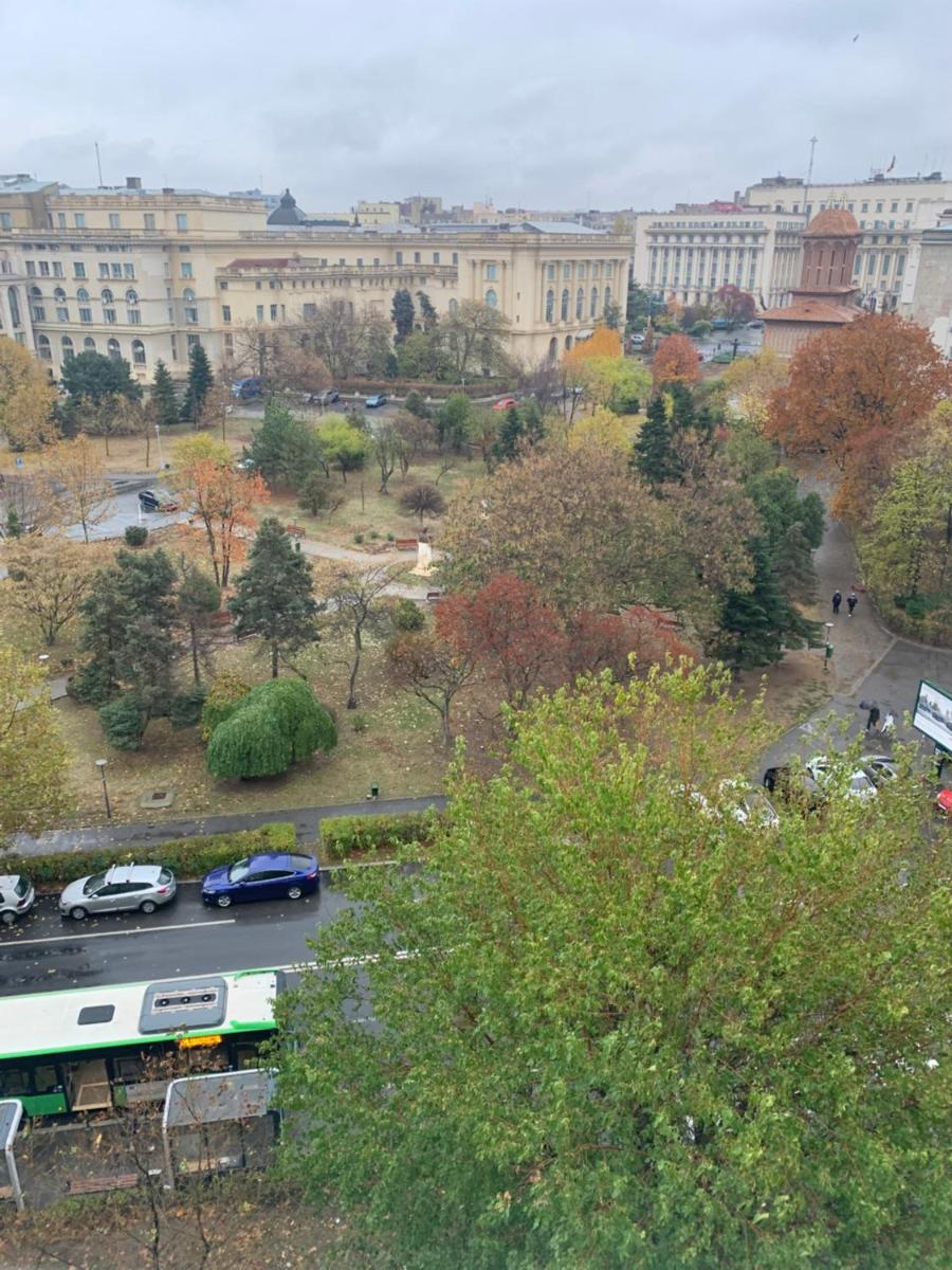 Green Muse on Victoriei - Housity