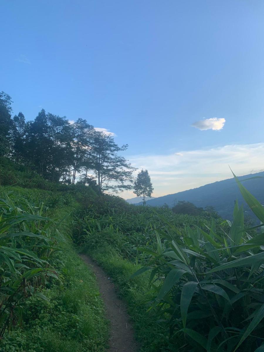 Trekking Hill Farm stay - Housity