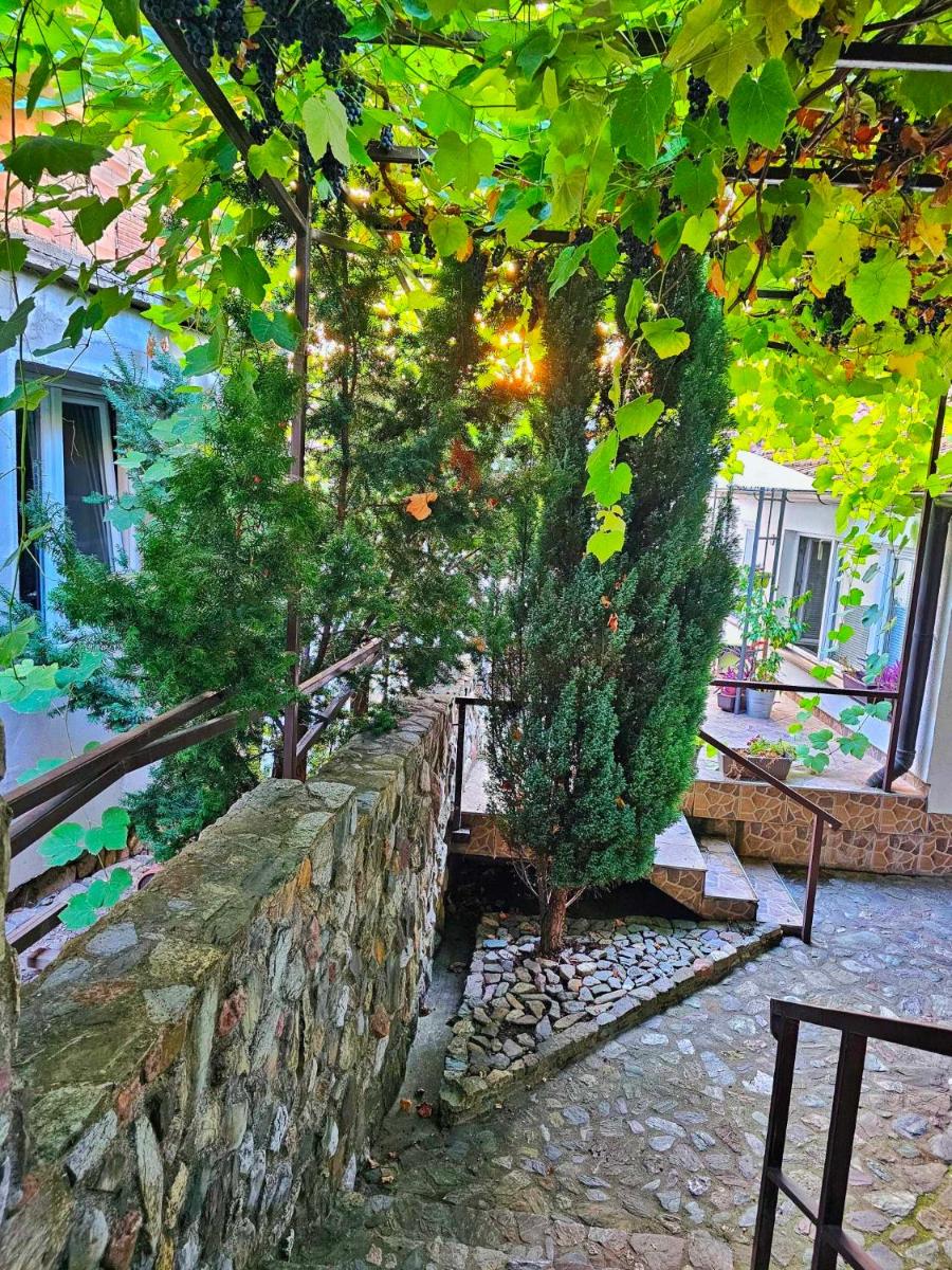 Studio Apartments Siesta - Housity