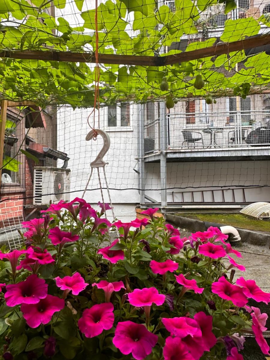 Wohnung im Herzen der historischen Altstadt - Housity