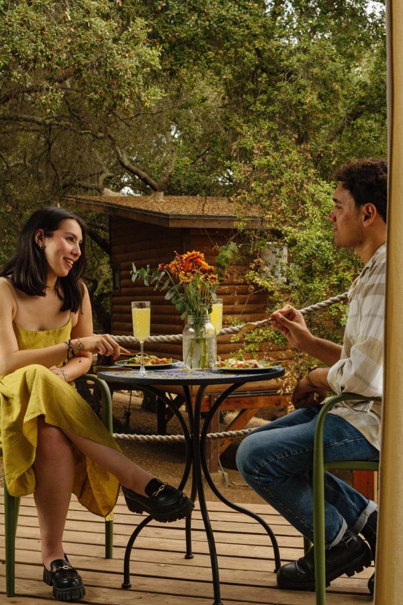 Boskenvid Hotel - Romantic Treehouses & Skypool - Housity