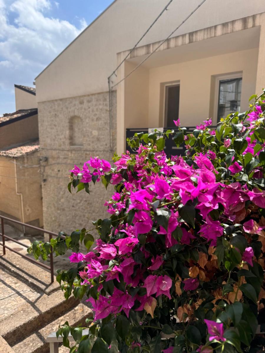 Le Camere dell'Emiro 2 - Housity