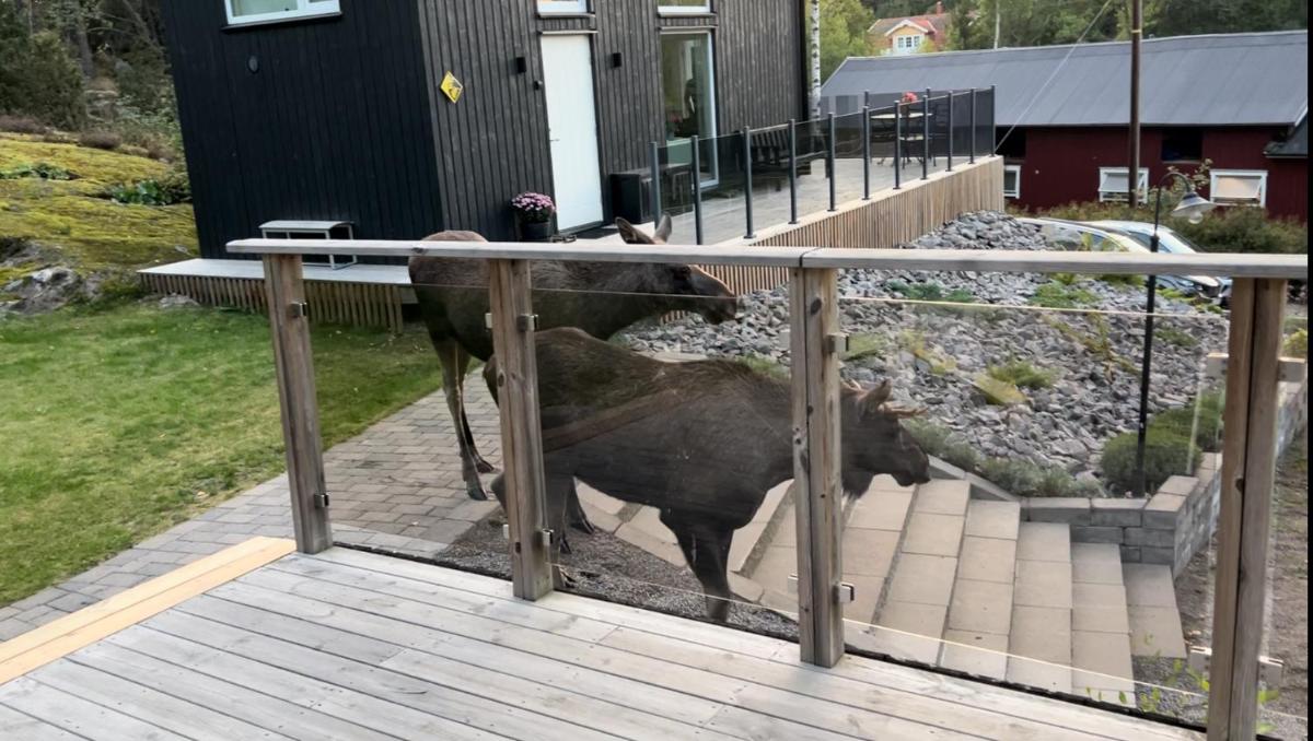 Cabin in the woods, close to Lake Mälaren - Housity
