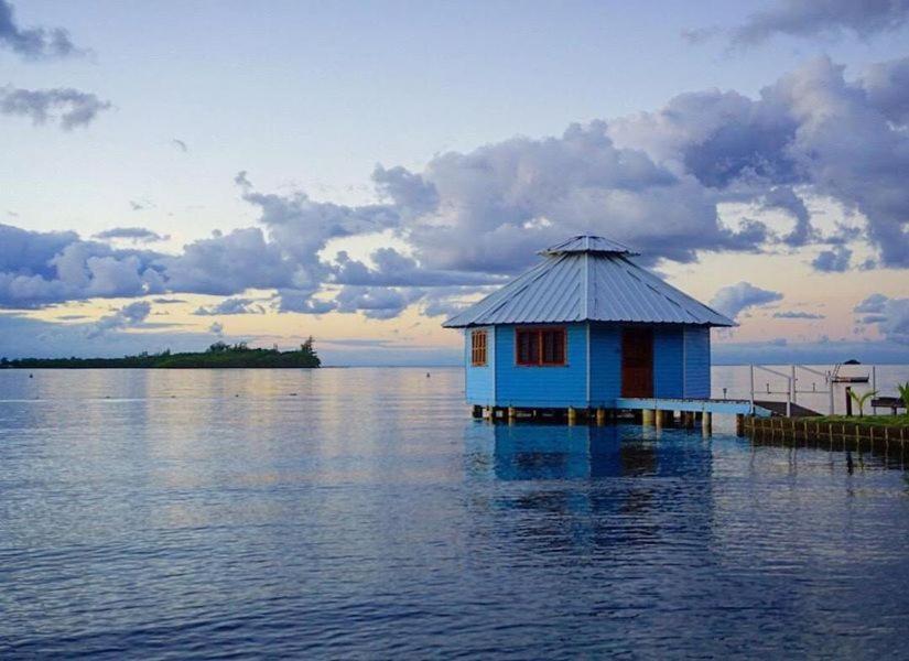 Mango Creek Resort - Housity