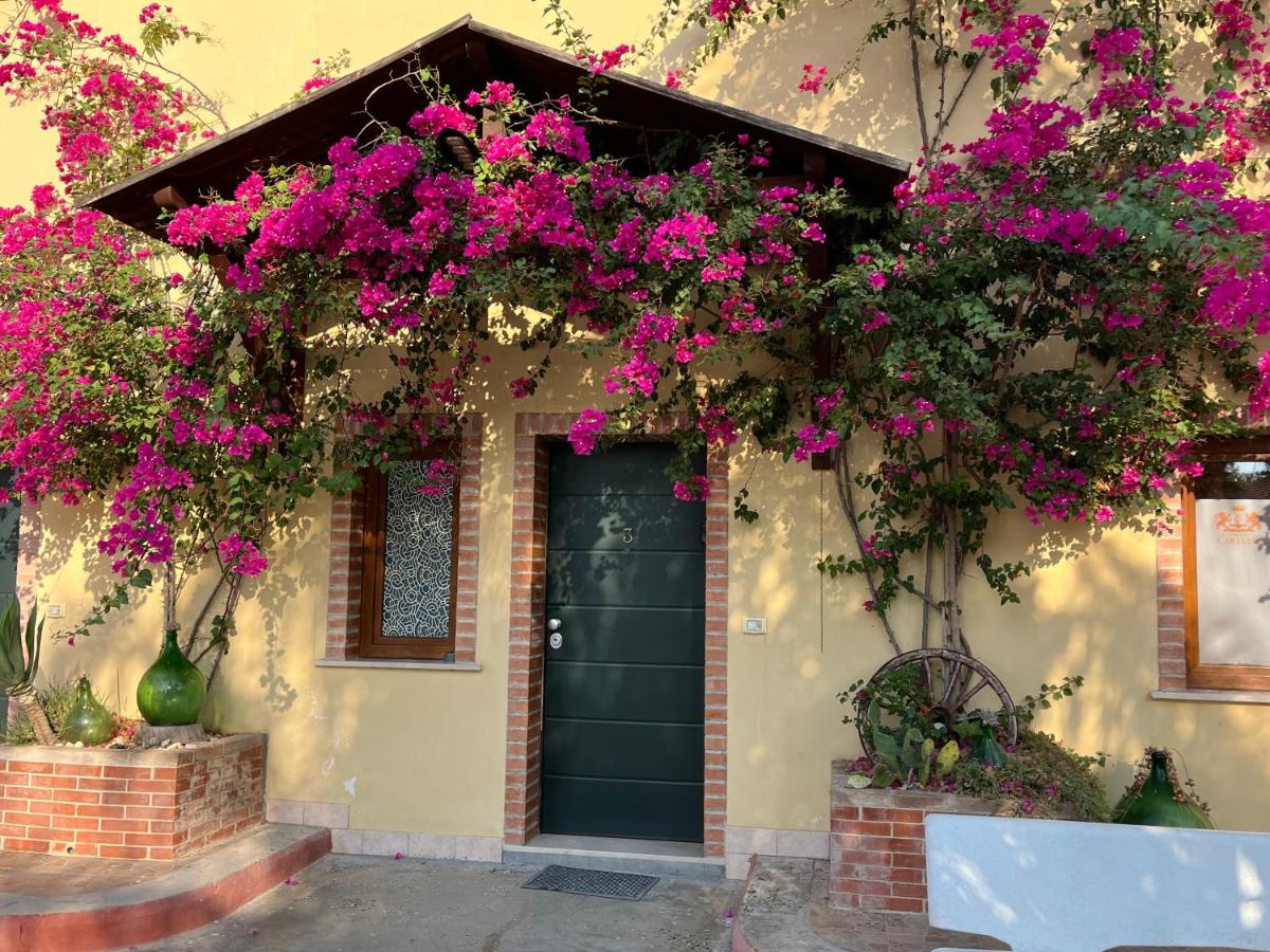 Oasi B&B hotel Restaurant - Housity