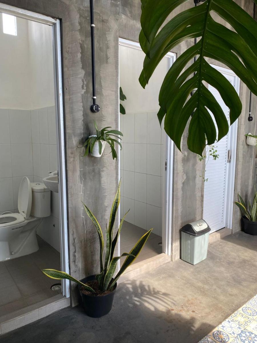 Banana Homestay - Housity