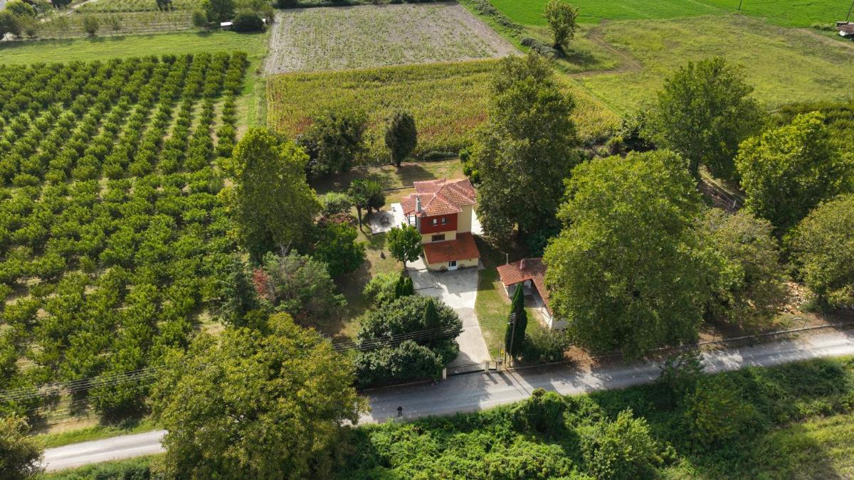 Nikola's Garden - Housity