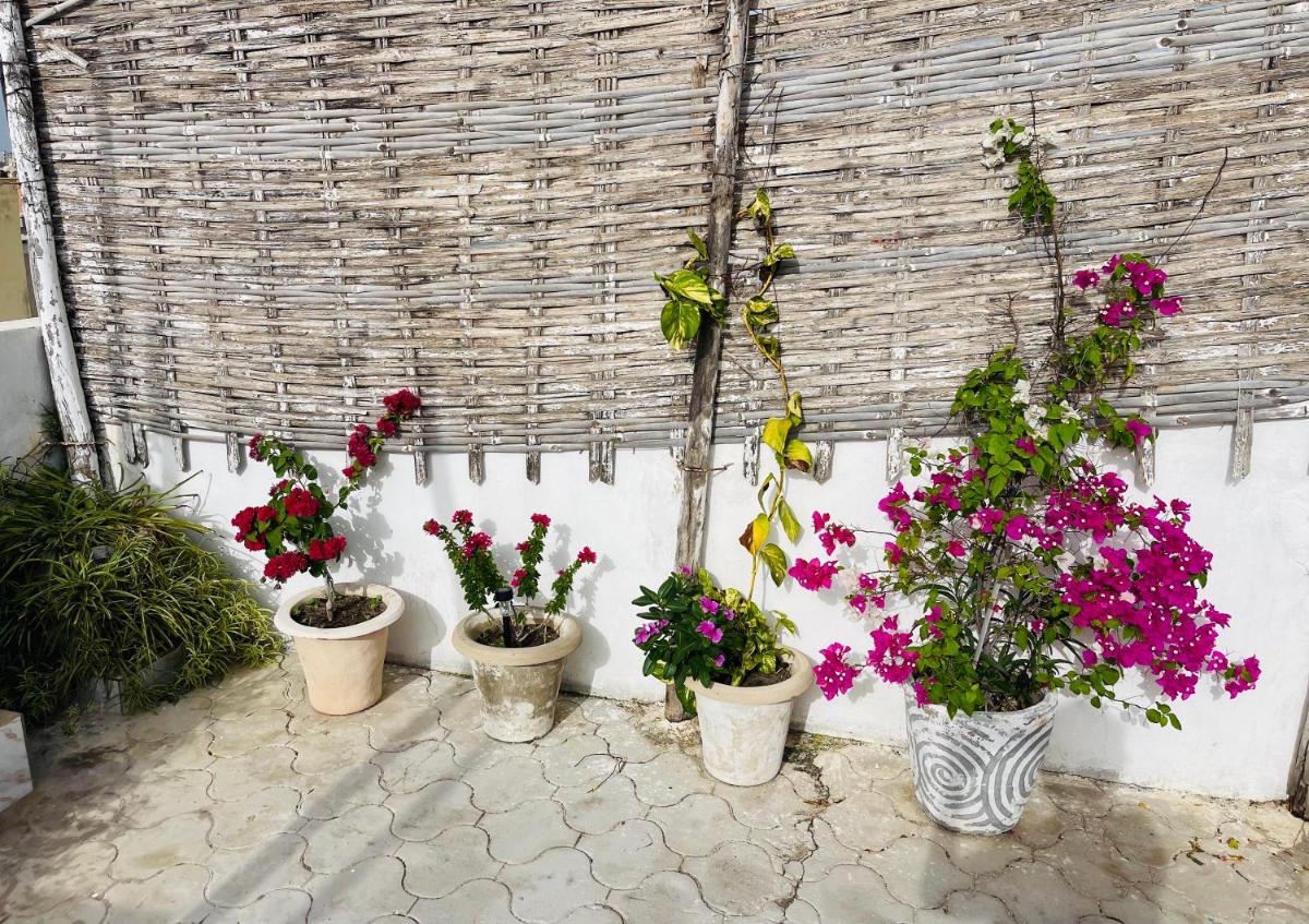 Villa diam la paix - Housity