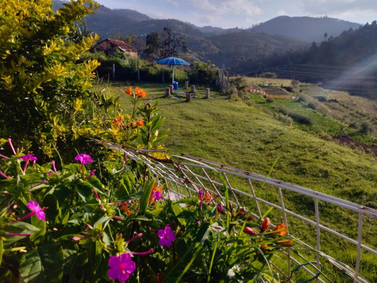 Misty Moonrise - Housity