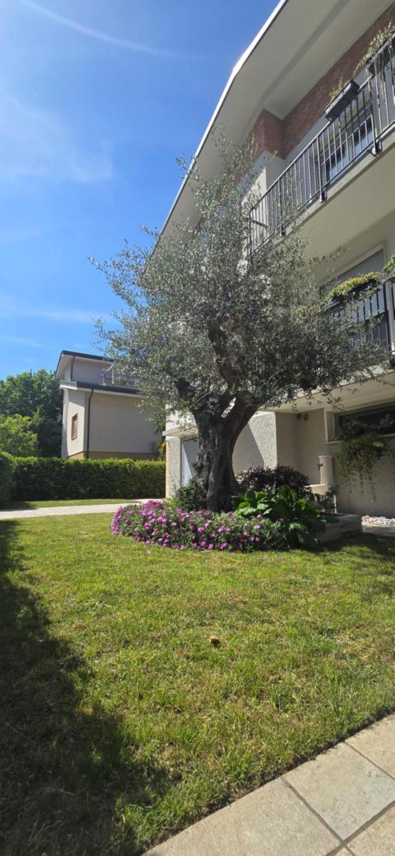 Ca' Olivo - Housity
