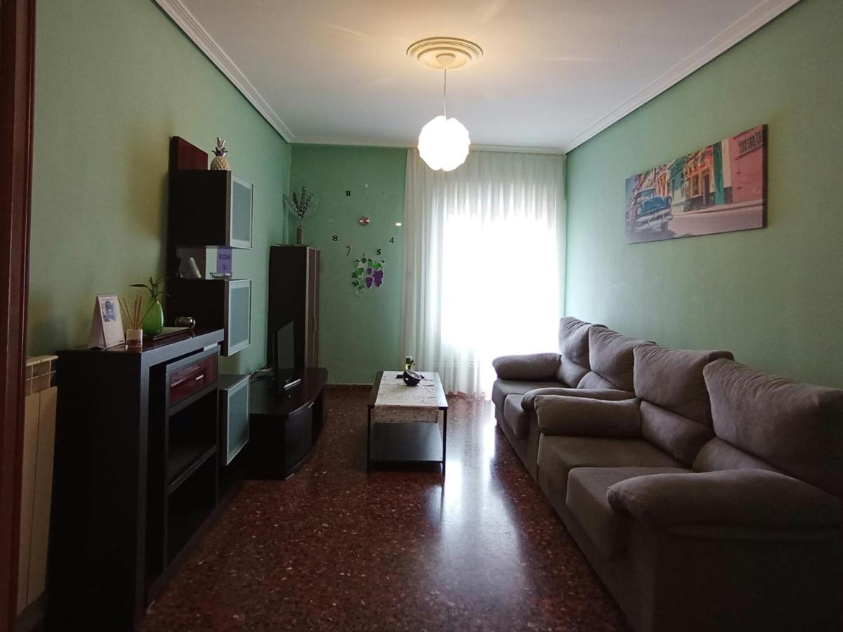 T&C HARO - Hizvo