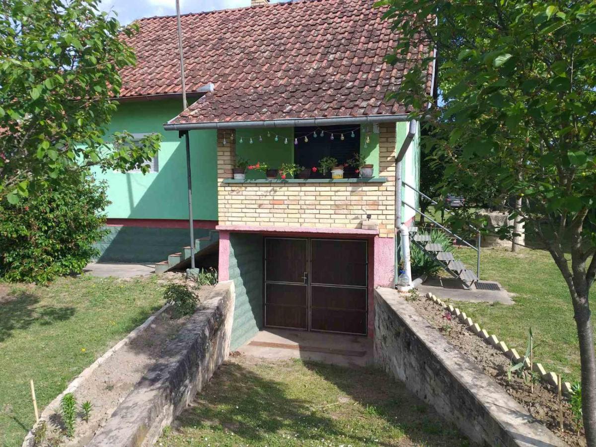 Vikendica Budžak 51 - Apatin - Housity