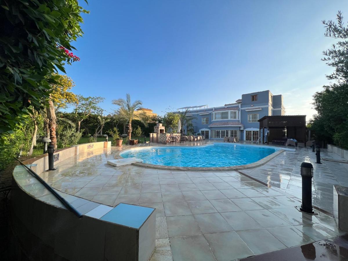 Egypt Oasis - Housity