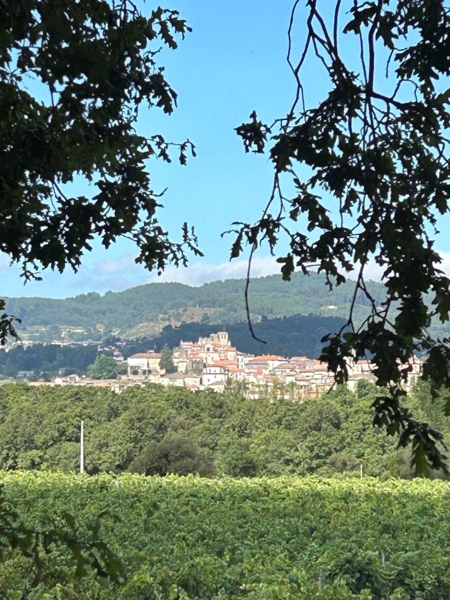 Paisaje cerca de este hotel