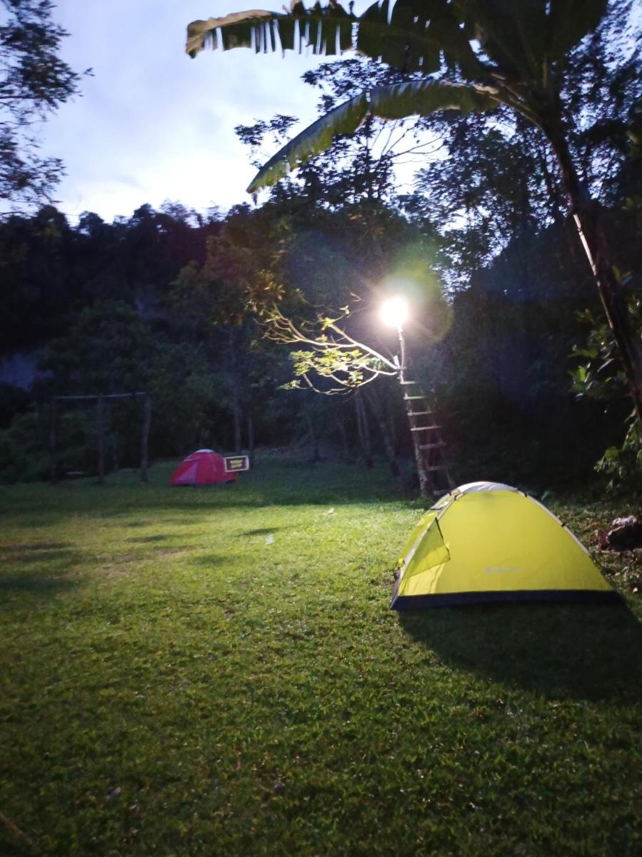 Potentia Tent - Housity