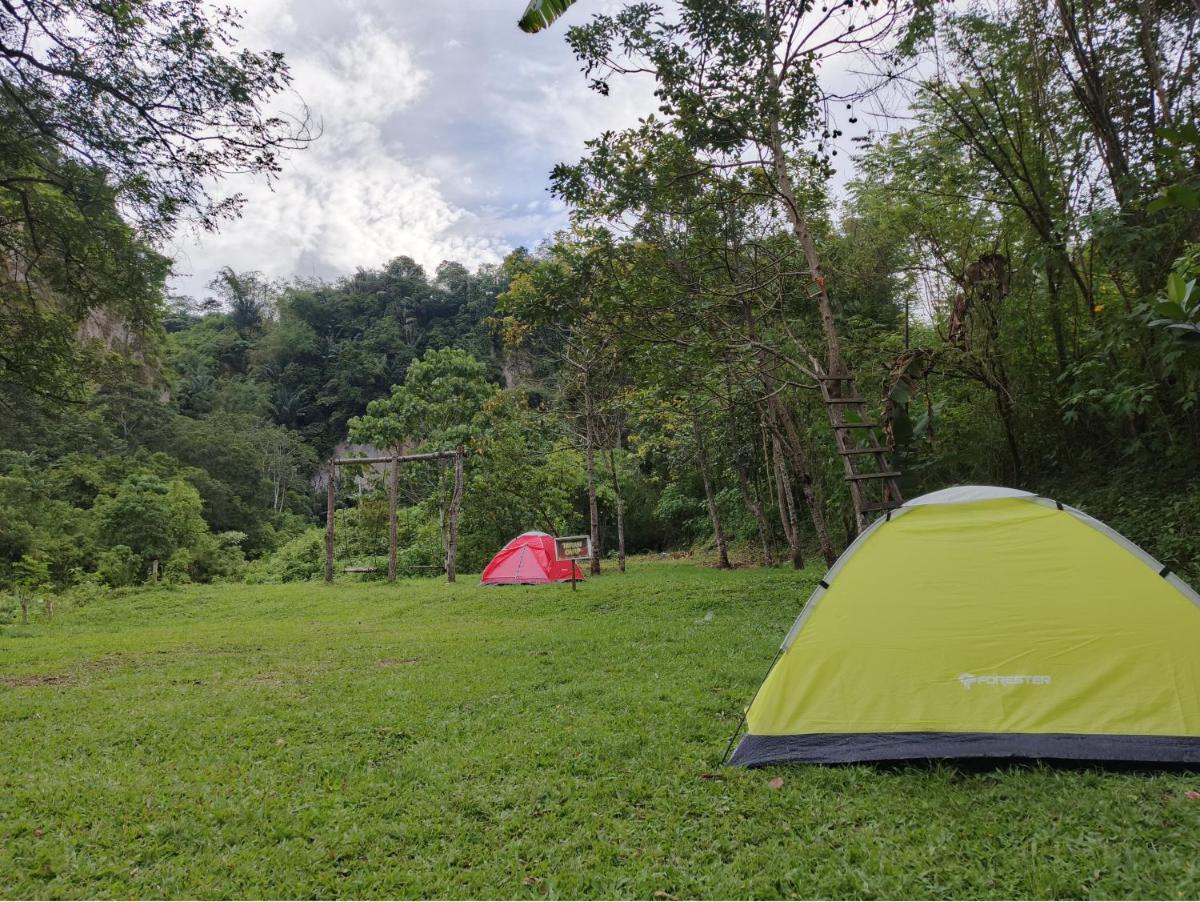 Potentia Tent - Housity