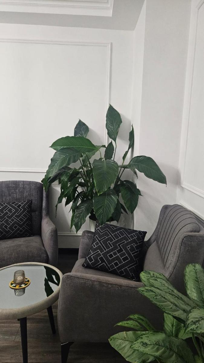 Apartment - Housity