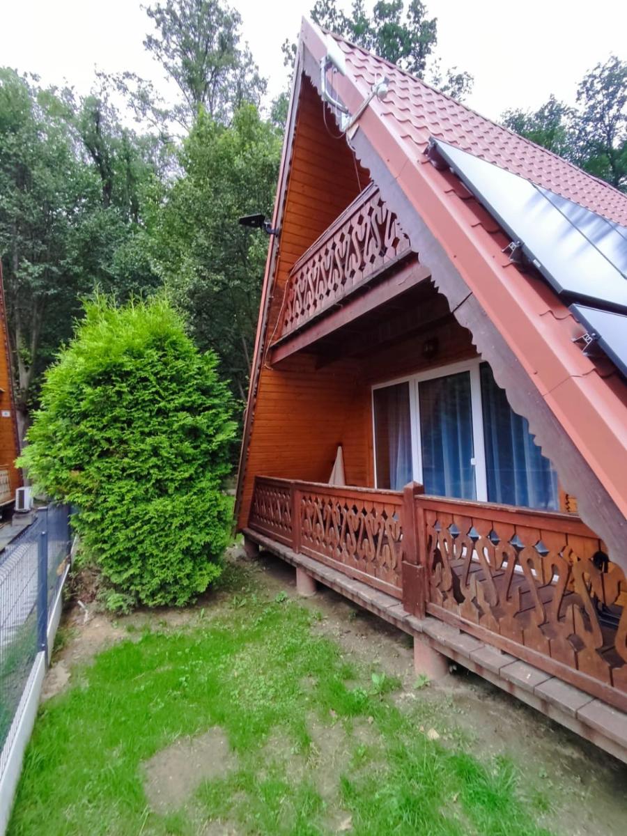 Złota Piątka Pokrzywna - Housity