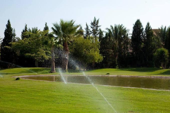 Egypt Oasis - Housity