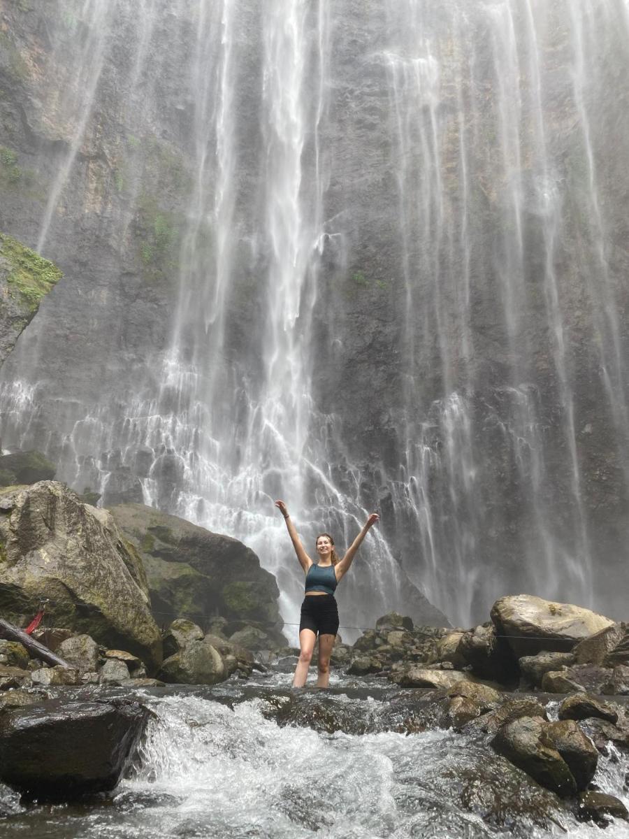 Dannu's Homestay Ijen and Bromo Tour - Housity