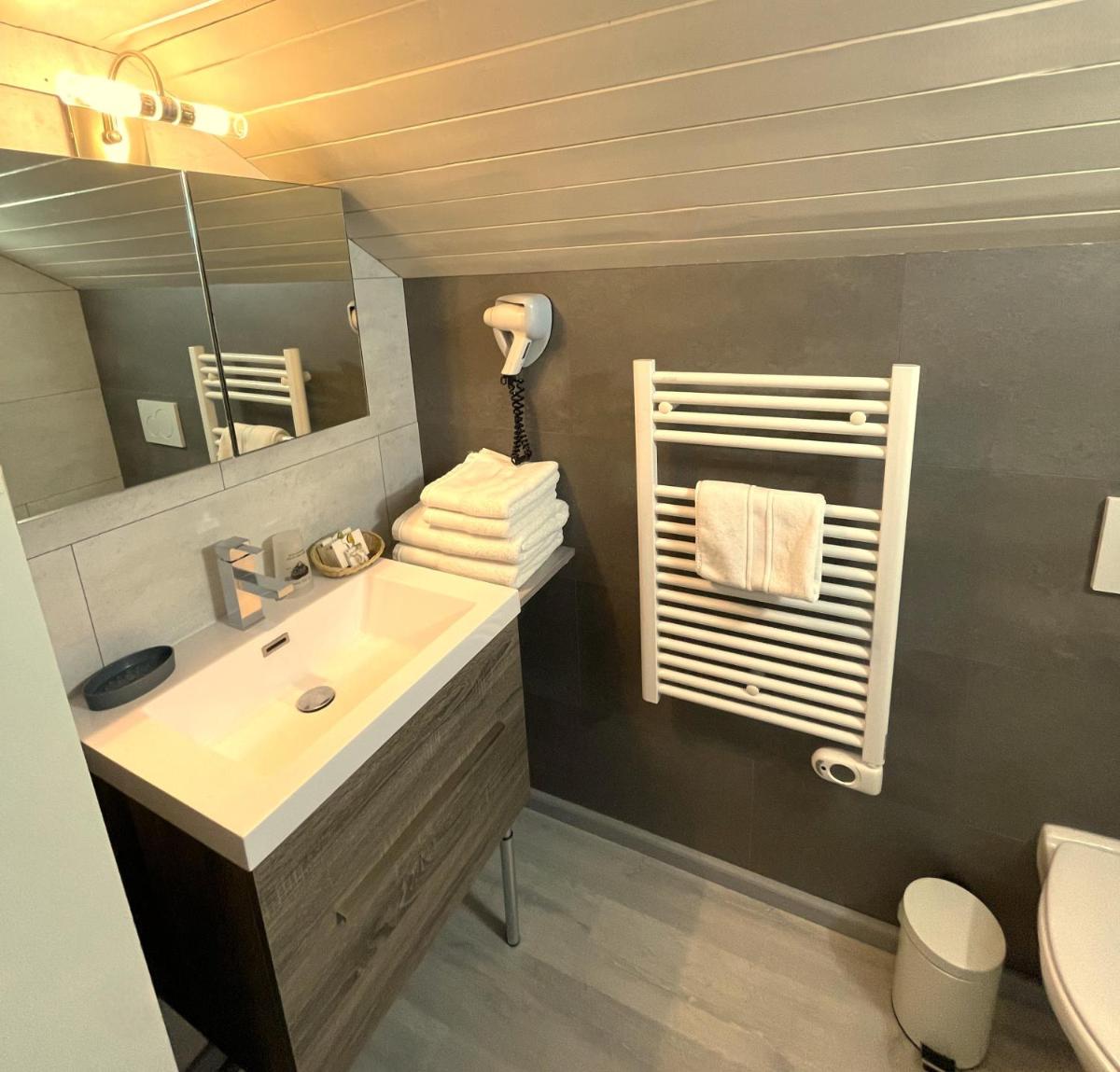 une salle de bain avec un lavabo et un miroir et des toilettes dans l'établissement Logis Hotel & Spa Beau-Site, à Saint-Jean-de-Sixt