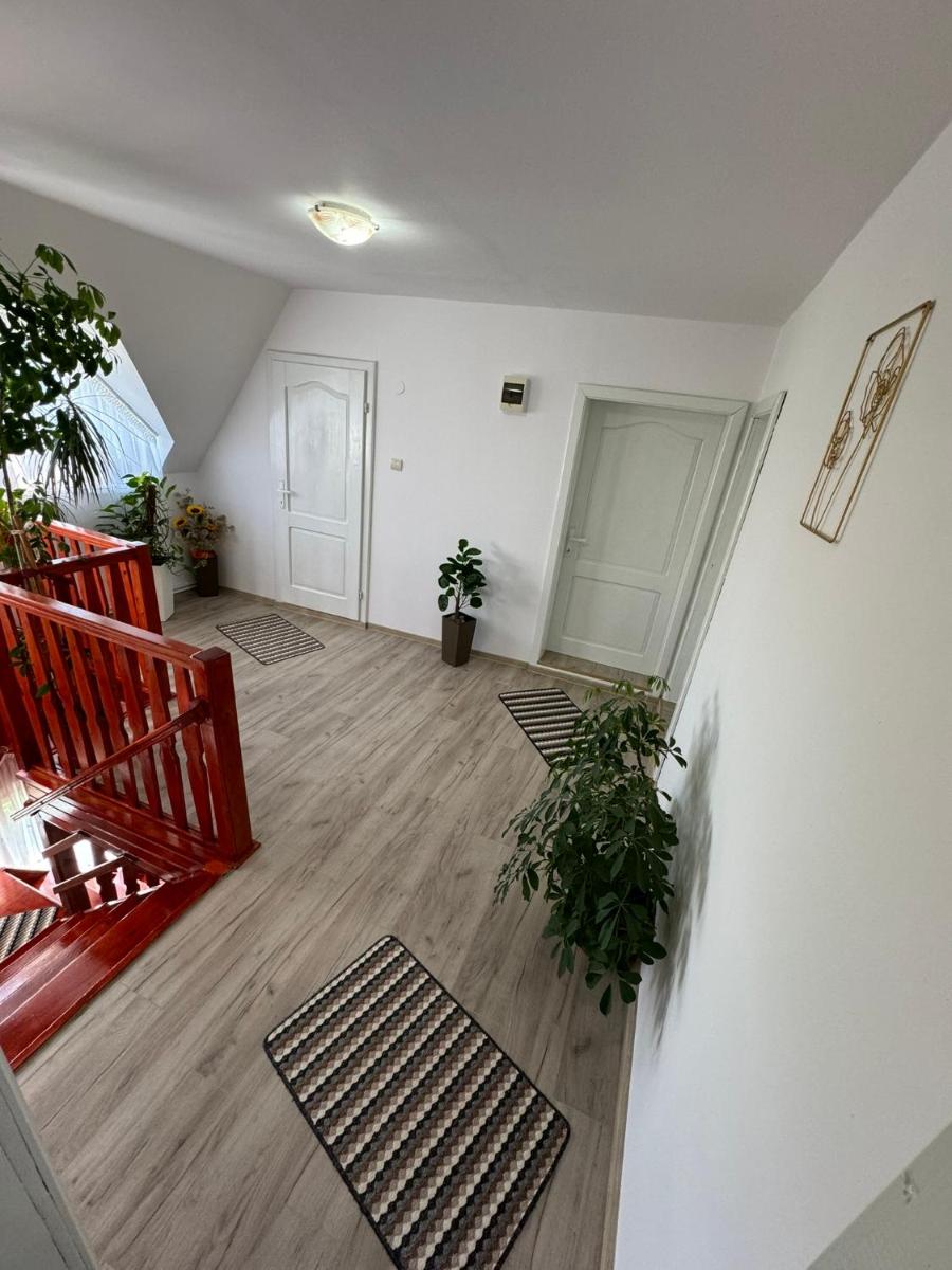 Csermely Panzio - Housity