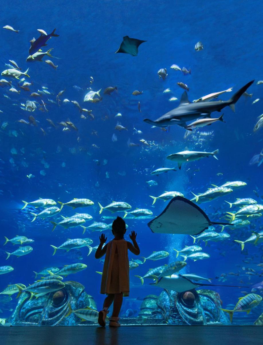 Atlantis Sanya - Housity