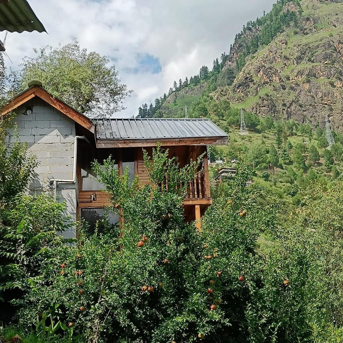 Odyssey Stays Kasol - Tree House & Campsite - Housity