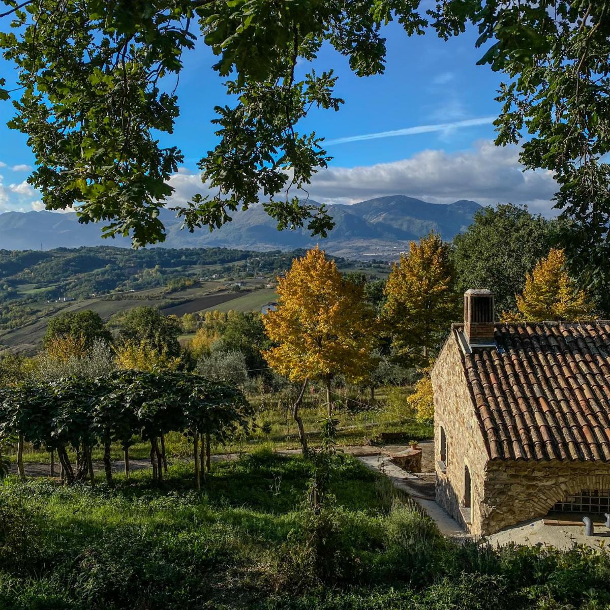 Tenuta SantoJanni - Irpinia - Housity