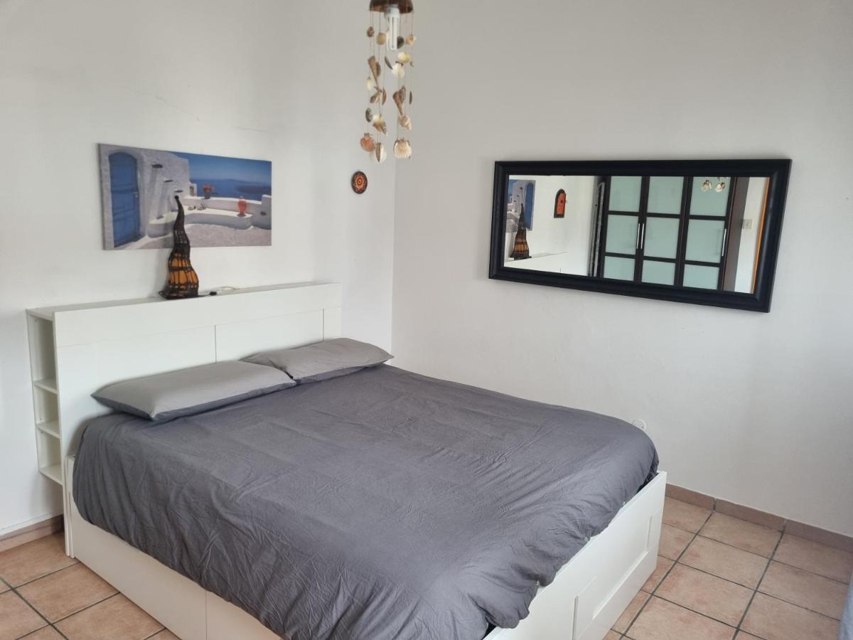 locazione mimosa con giardino - Housity