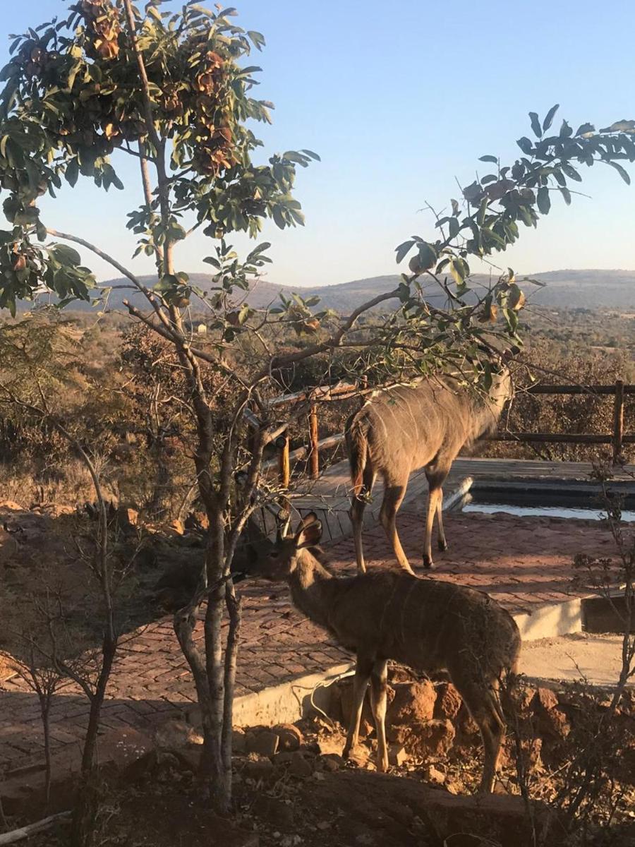 Lodge Twentyfour Mabalingwe Nature Reserve - Housity