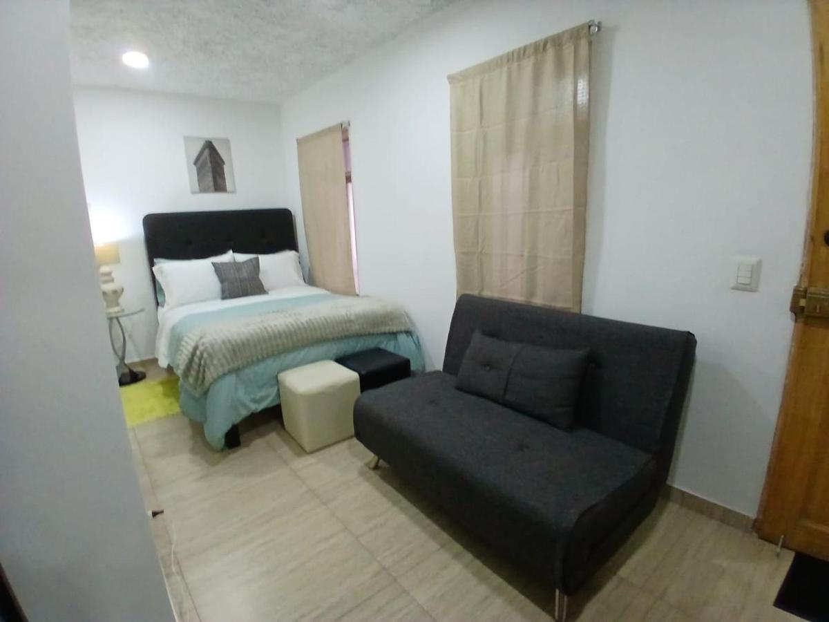 Centric, private, petfriendly apartments in Miraflores and home in Lince - Housity