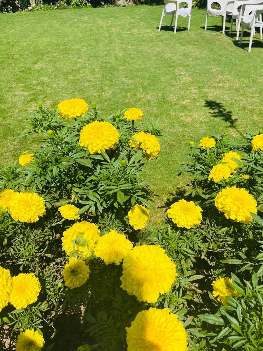 Himalayan Sun Cottage - Housity