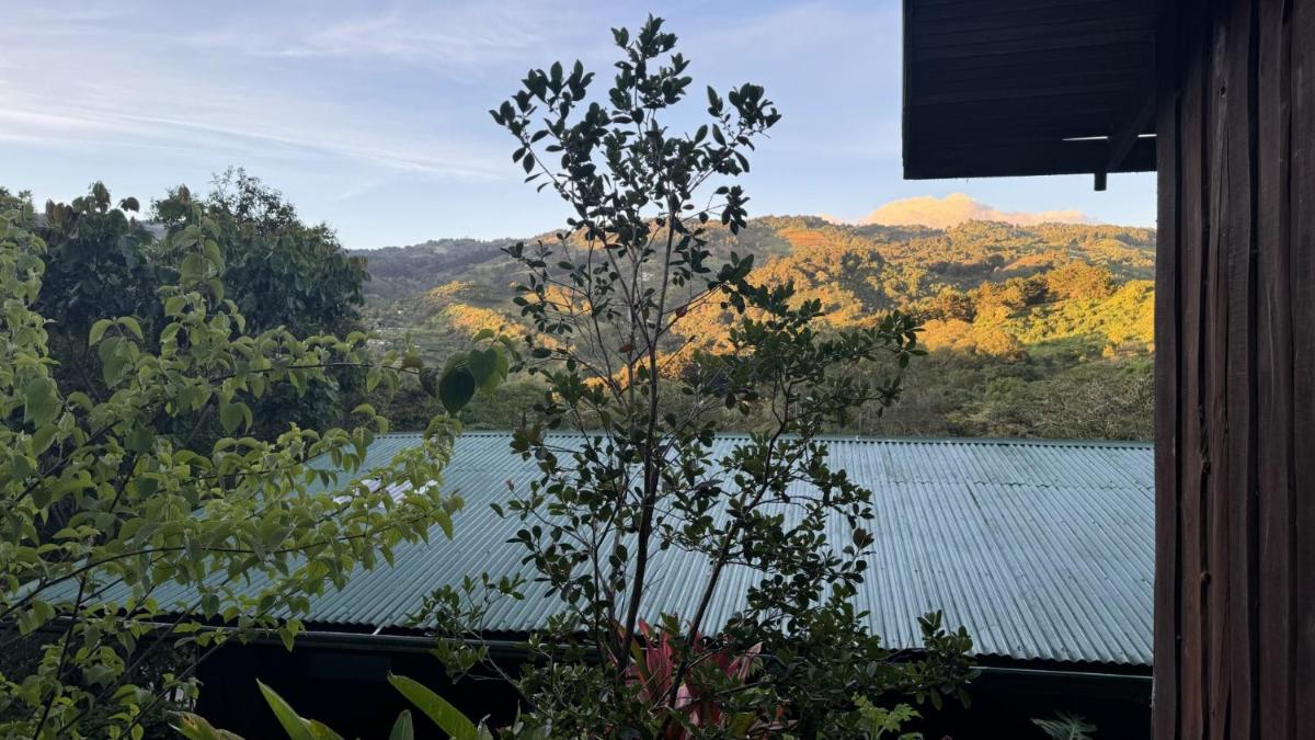 El Toucanet Lodge & Restaurante - Housity